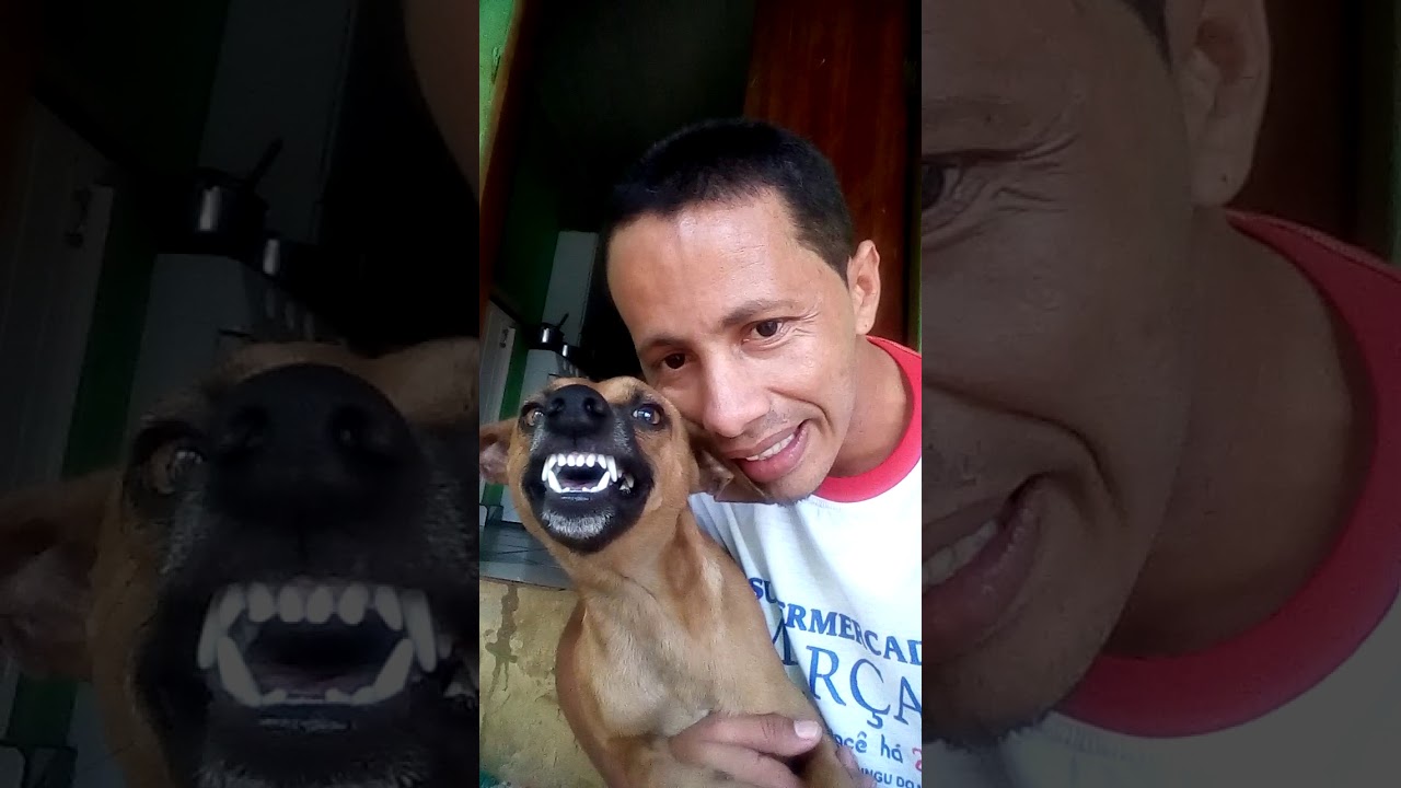 Cachorro confirma sua indignação se o Flamengo perder para o Corinthians hoje