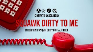 Video thumbnail for Squawk Dirty To Me | Endorphin.es Sqwk Dirty digital filter by Cinematic Laboratory