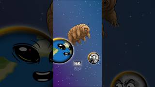 The Truth About Aliens on Earth 👽
