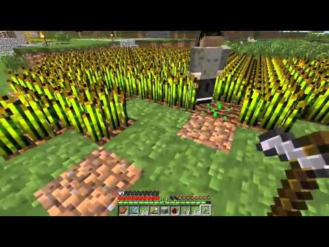 Let's Dorf #25 - Weizen, Weizen, Langeweile [HD]