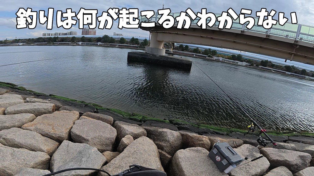 なんでこんなことに・・・