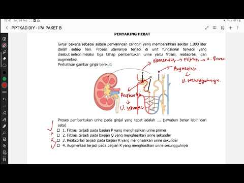 Tata Surya, Rotasi-Revolusi Bumi, Gerhana Bulan-Matahari & Fase Pasang Surut SMP