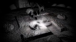 Swastika of Life vs. Swastika of Death