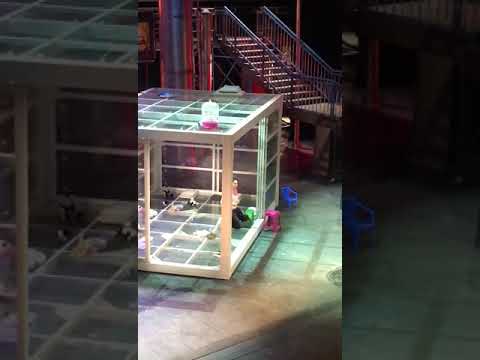 Un bel di vedremo- Svetlana Kasyan