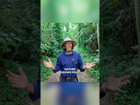 Why Growing Food Feels So Hard #permaculture #growfood #gardeningtips