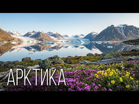 Arctic: Life Beyond the Arctic Circle | Interesting Facts About the Arctic