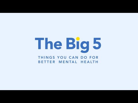 The Big 5 - MindSpot