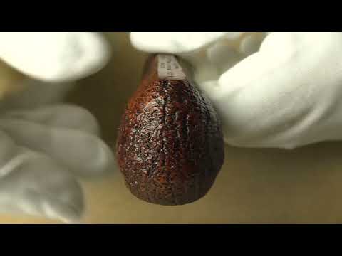 Dunhill Cumberland 4104 - pipe G054