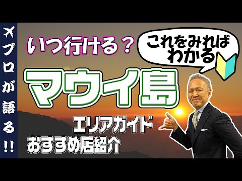 マウイ島の衛星画像。南西の小さな島はカホオラウェ島です