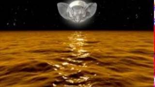 Coil: Remotely (How To Destroy Angels)