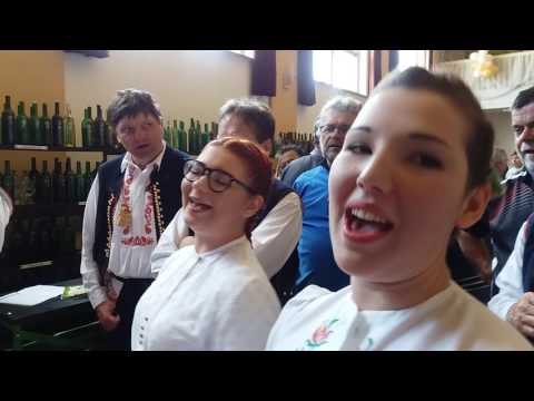 Bzenecké drmolice Košt vín v Moravském Písku 6. 5. 2017