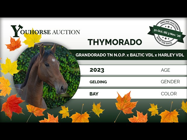 Thymorado