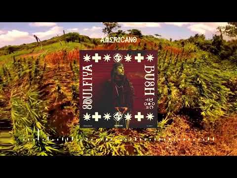 Soulfiya - Bush Doctor Produced by EL Dusty