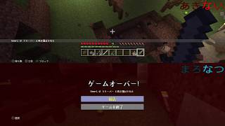 初心者2人のグダグダなマインクラフト実況プレイ part21