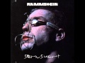 Rammstein - Sehnsucht Studio Cover 