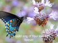 I could sing of Your love - Women of Faith 