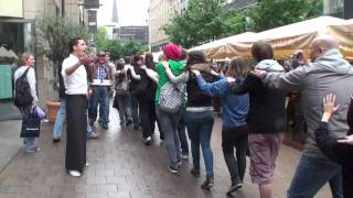 preview picture of video 'Flashmob Tag Numero Uno 2011 in Hamburg'