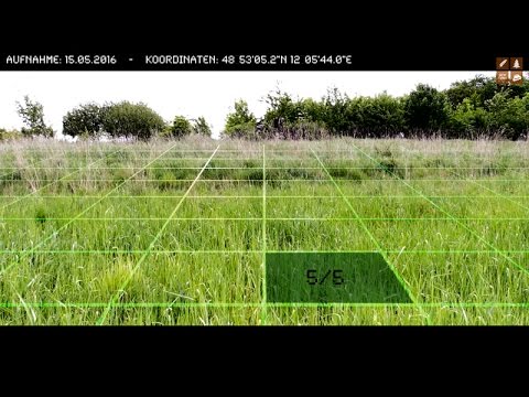 EINFACH NATUR »SEKTOR« #1 / Koordinaten: 48°53'05.2"N 12°05'44.0"E