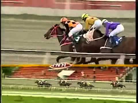 10ma Carrera Domingo 01 Diciembre 2013 LA RINCONADA