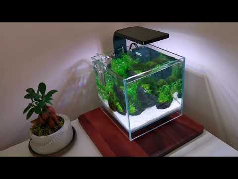 NANO Planted Desktop Aquarium - ADA DOOA Neo Glass Air - 20x20x20cm / 8L