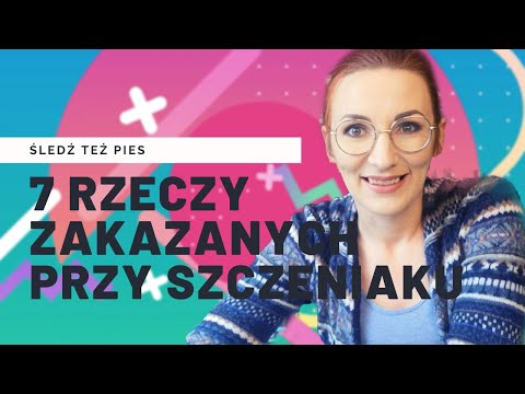7 rzeczy, których nie powinieneś robić ze szczeniakiem - Śledź też pies