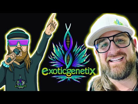 How Exotic Genetix Mike Built his Strain Empire…