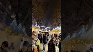 Unforgettable Moments at Neustadt Augustusmarkt | An International Extravaganza! 🎄✨