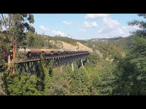 Comboio Internacional n.º 54430 - Luso