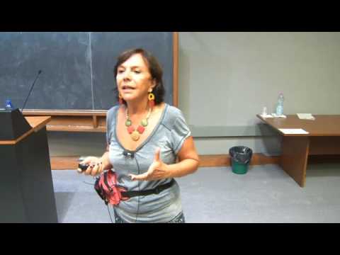 Contracting Lorenz Attractor: statistical properties - Maria Jose Pacifico