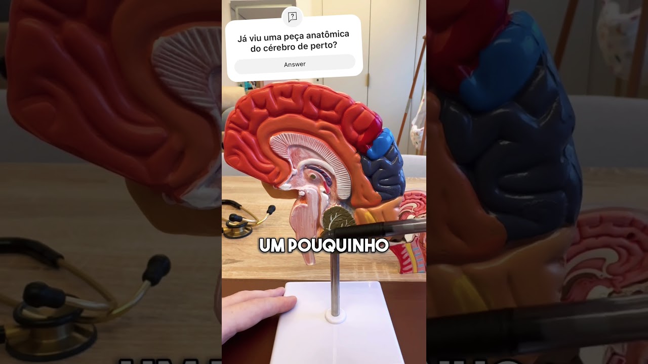 Fernando Netto Zanette-10