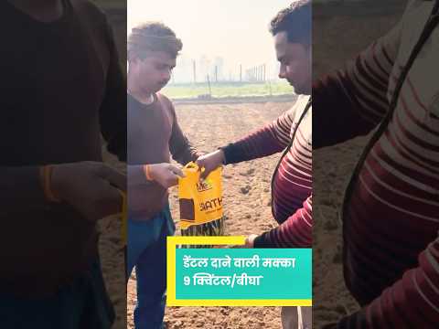 Rajkumar - Spring Maize Saathi