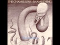 The Chameleons - Swamp Thing - 1986 