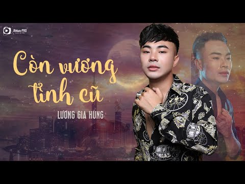 Còn Vương Tình Cũ - Lương Gia Hùng [Audio Lyrics]