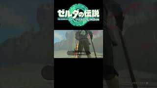 ホスタ隊長どれだよ．．．　#ゼルダの伝説ティアーズオブキングダム