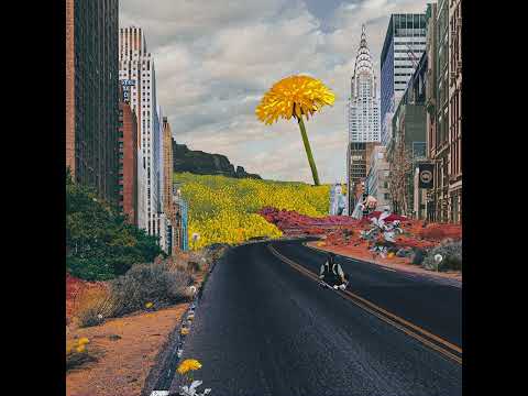 Video thumbnail for Dandelion