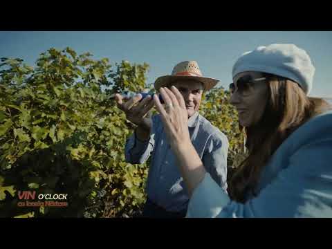 Cotnari, crama care face vin doar din soiuri românești