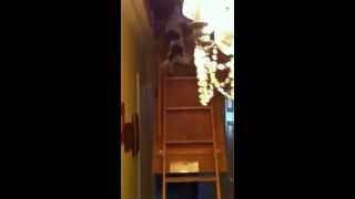 Tucker's Fearless Moves