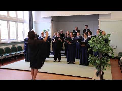 Balázs Árpád: Bodzavirág - Hágai Magyar Énekkar, Kovács Katalin