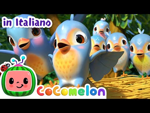 I cinque uccellini | CoComelon Italiano - Canzoni per Bambini