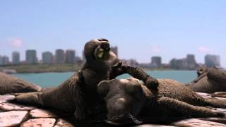 Keying and 3d Compositing