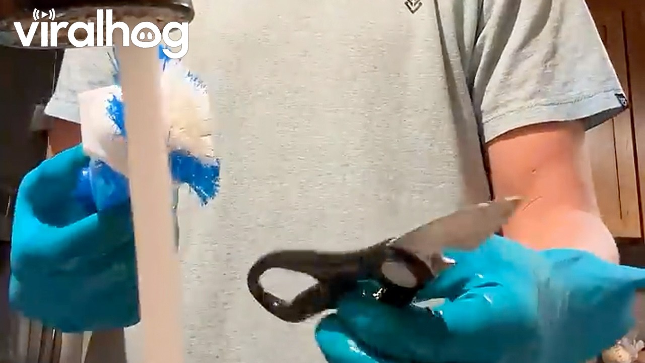 Man Tries to Cut Water Using the Scissors || ViralHog