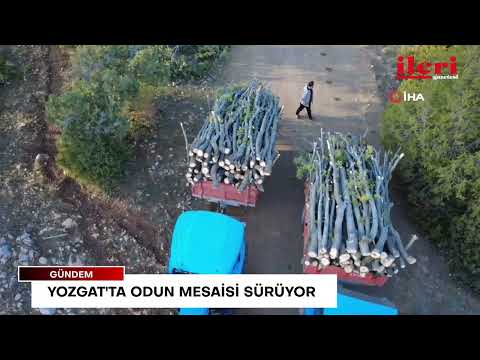 Yozgat'ta odun mesaisi sürüyor | İleri Gazetesi