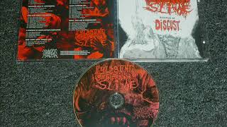 PULSATING CEREBRAL SLIME - disciples of disgust (compilation)