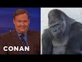 Shabani The Handsome Gorilla Bewitches Andy Richter | CONAN on TBS