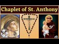 Chaplet Of St Anthony Of Padua For 13 Petitions Favors