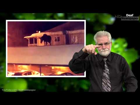 News in ASL 3.7.2019