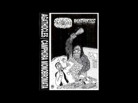 agathocles/camphora monobromata - split /2013/