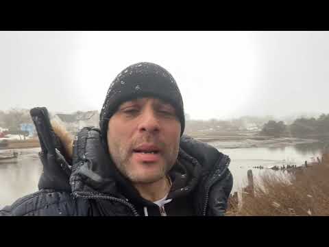 Bald Eagle Encounter in Saugus Ma.