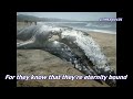 Dan Fogelberg - A Cry In The Forest (Lyrics)