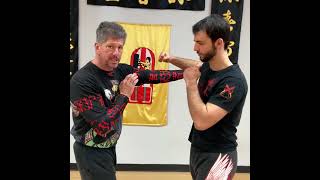 Tai Chi Needle at Sea Bottom demonstration thumbnail